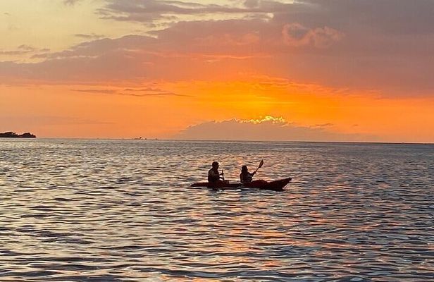 Fajardo Bio Bay Guided Kayak Tour