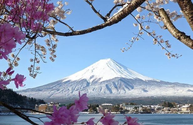 Mount Fuji Sightseeing in Private Car