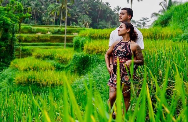 Bali Private Tour: Penglipuran Village, Tegalalang & Waterfalls