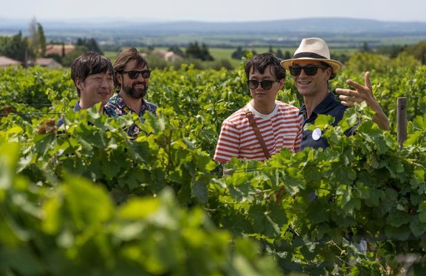 Morning Wine Tour to Chateauneuf du Pape from Avignon