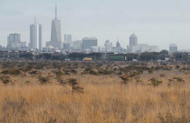 Nairobi National Park Half Day Guided Tour Tour with Free WiFi