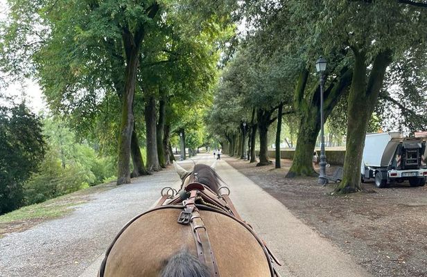 1-Hour Carriage Tour – Historic Center and Renaissance Walls