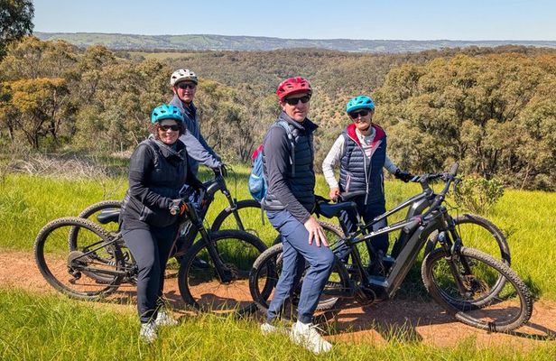 Self Guided E Bike ride to Mt Lofty and Belair National Park