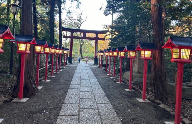 Private Tokyo Tea & Kimono: Use a National Treasure's Kettle