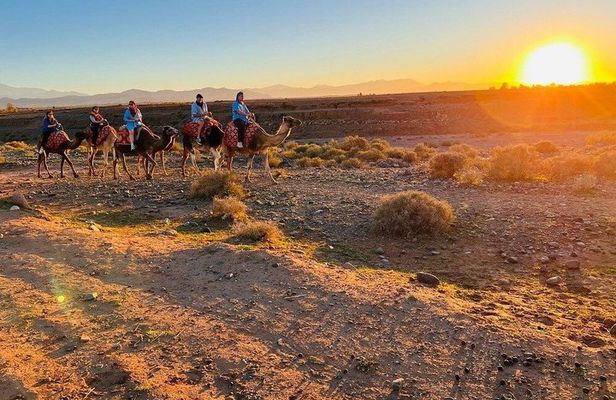 Atlas Experience: Camel Ride, Cooking Class & Traditional Hammam