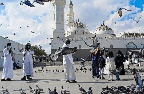 VIP Medina Historical Tour Mount Uhud Quba Mosque and More