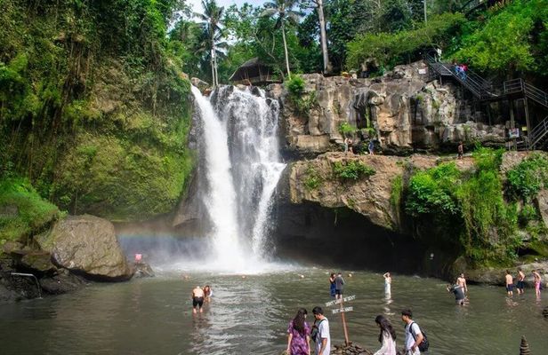 Ubud Private Tour to Tegenungan Ancient Temples and Rice Terraces