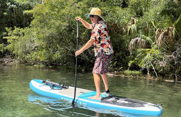 Unguided Paddleboard Adventure at Weeki Wachee Springs