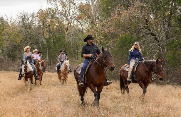 45 Minutes Trail Ride Near Nashville