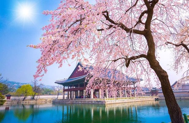 Seoul Private Tour: Half Morning, Evening or Full-Day Custom