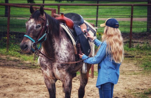30 Minute Horseback Trail Ride in Memphis