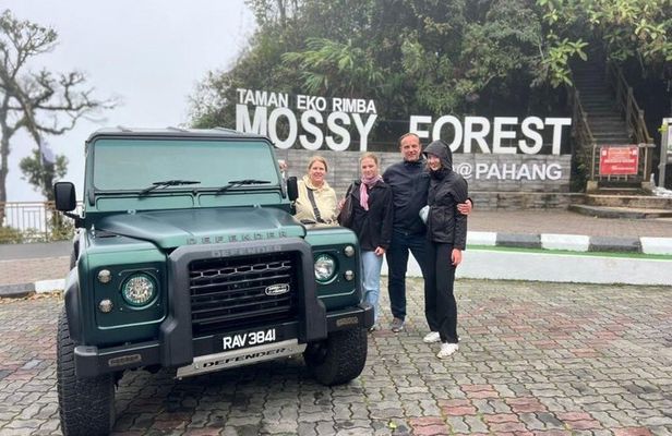 Package A Halfday Mossy Forest Private Tour