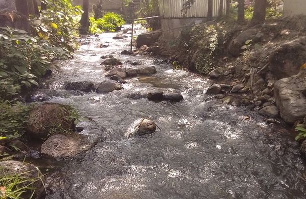 Visit Wondo Genet in 1-day overnight Hotel (Sec. Deposit Fee)