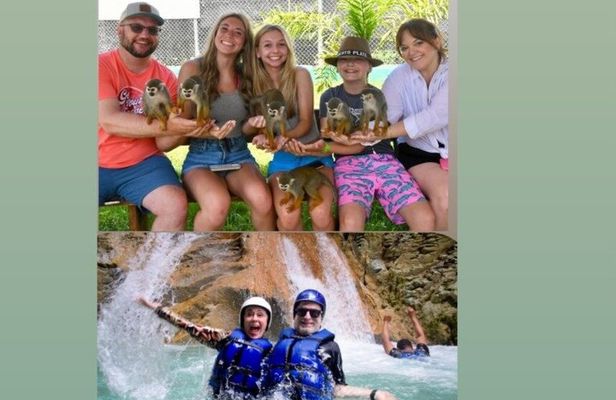 Damajagua Waterfalls Adventure and Monkey Experience