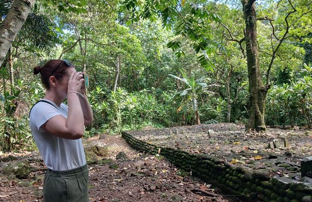Moorea Cultural Safari Virtual Reality Opunohu Valley