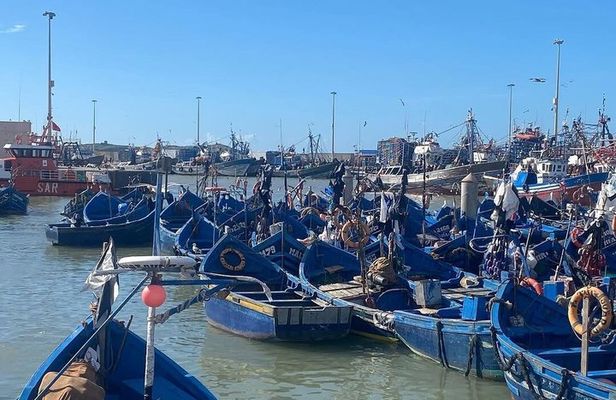 Essaouira Day Trip from Marrakech: Medina, Beach & Port