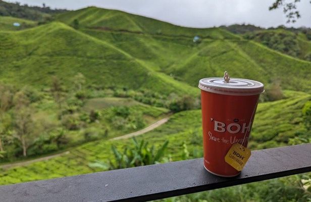 Cameron Highlands Fullday Discovery Package B Shared Tour