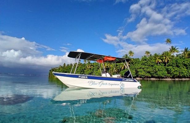 Unique Snorkeling and Art Tour Experience in Tahaa Raiatea 