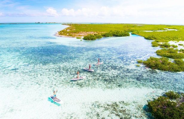 Turtle Cove Kayaking Experience Leeward