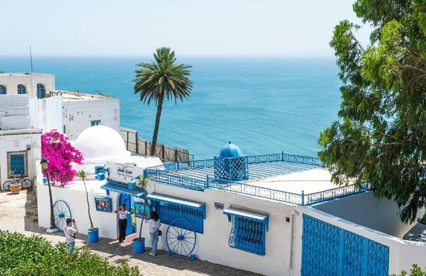 Private tour: Medina,Carthage ,Sidi Bou Said, Bardo Museum+lunch