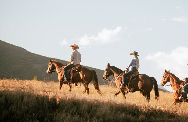 Guided Horseback Riding Adventure