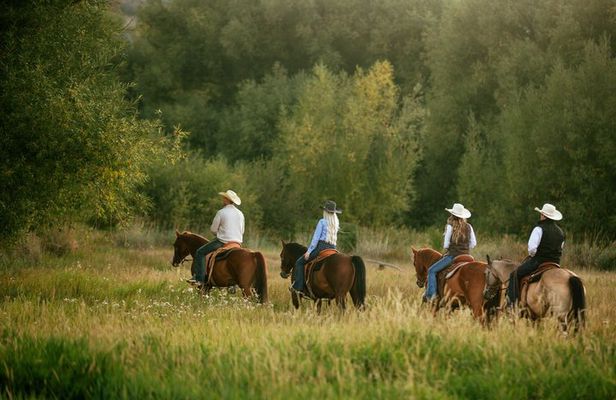 1 Hour Guided Horseback Riding Adventure