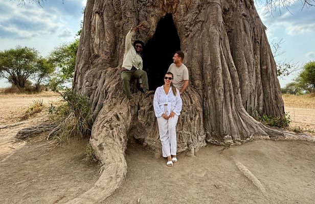 5-Day Private Luxury Ndutu Calving Season – Wildebeest Migration