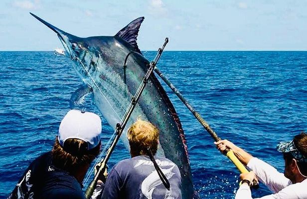 Punta Cana Fishing pro professionnel 