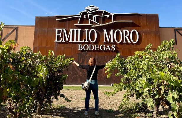 From Madrid to Ribera del Duero Vineyards and Towns Reconditos