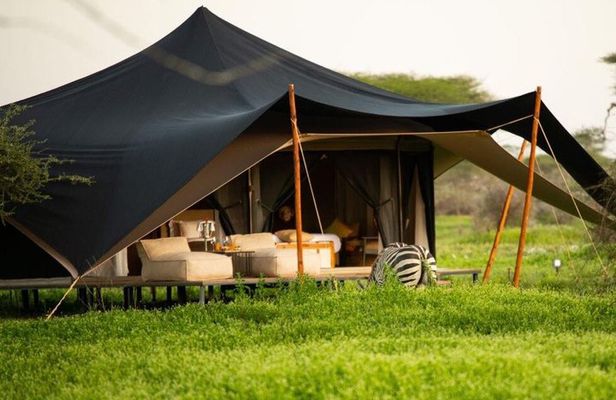 5 Days Tanzania Tented Camp Safari