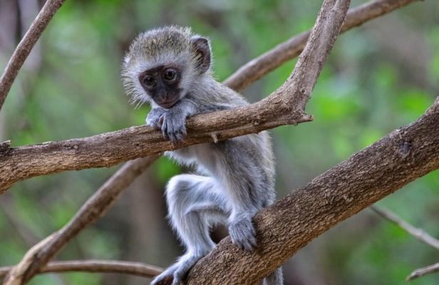 Lake Naivasha and Hell’s Gate Cycling Guided Adventure