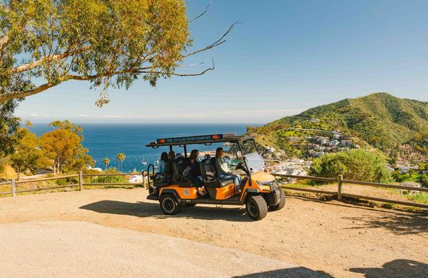 Experience Avalon Like a Local Private Golf Cart Adventure