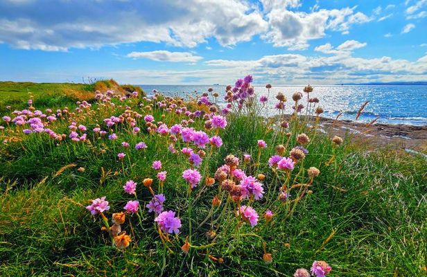 Customized and Fixed Tours of My Ireland Adventure.