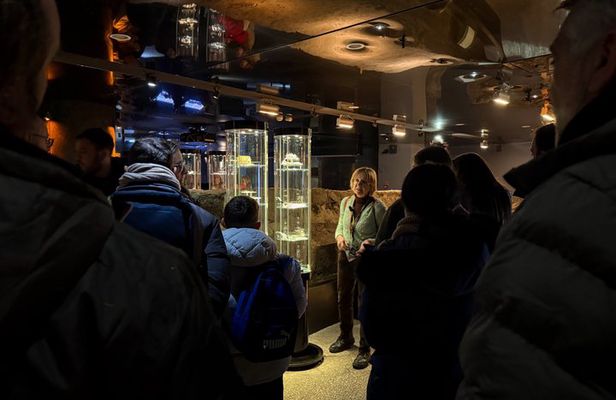 Small-group Rynek Underground Museum Guided Tour in Krakow
