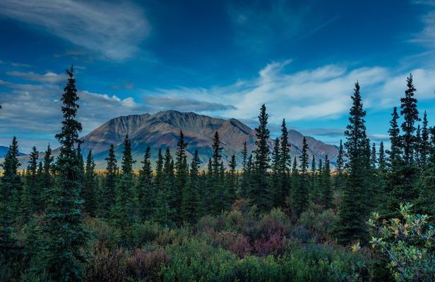 Denali Highway Full-Day Scenic Journey from Fairbanks