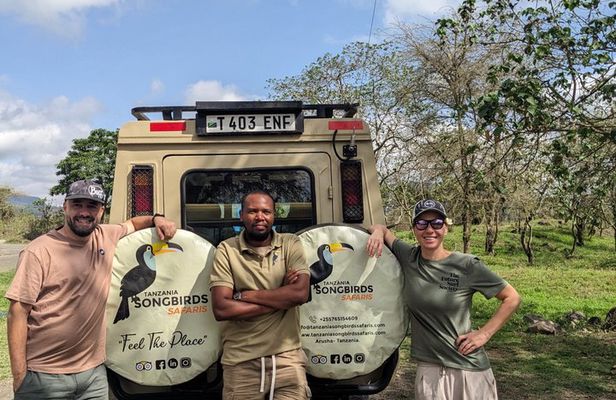 Tanzania Day Trips Ngorongoro Tarangire and Arusha Safari