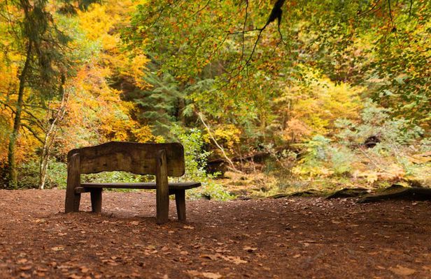 Highland Gems Dunkeld The Hermitage and Blair Atholl Castle