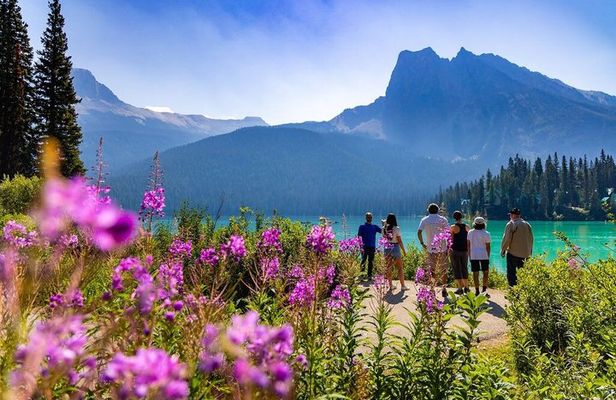Emerald Lake Road Bus Tour