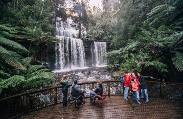 A Day Tour to Mt Field and Bonorong Wildlife Sanctuary