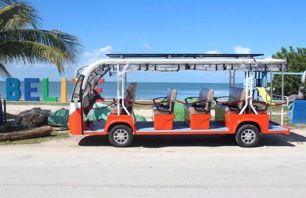 Luxury Eco Friendly TukTuk Bus Belize City Tour