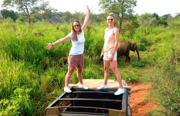 Sigiriya & Minneriya Safari, Village Lunch Private Full Day Tour