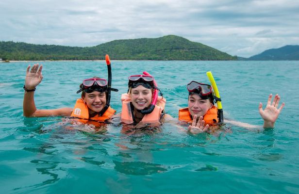 Pink Dolphin and Pig Island by Speedboat from Koh Samui