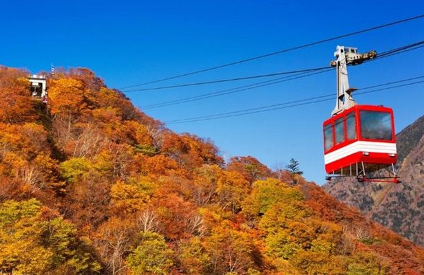 From Tokyo Private Nikko Shrines and Nature Day Tour