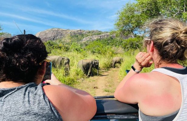 Private Polonnaruwa Ruins & safari Tour from Sigiriya/Dambulla