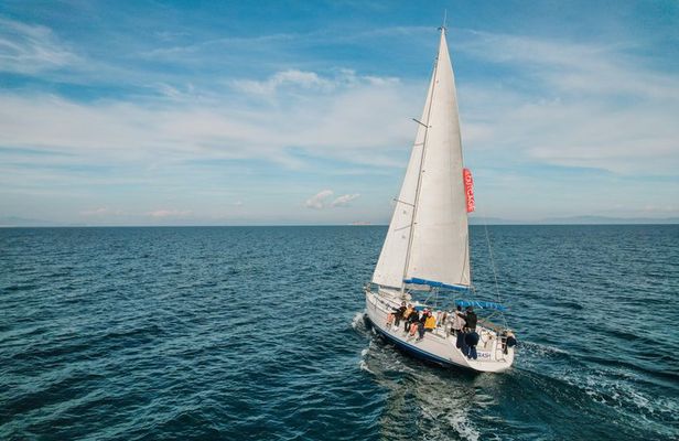 Sailing tour with dolphins Golfo Aranci Tavolara Molara