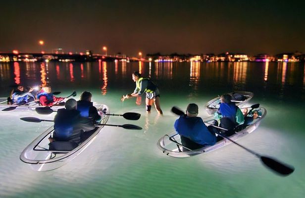 90 Minute LED Illuminated Clear Kayak Night Adventure Tour