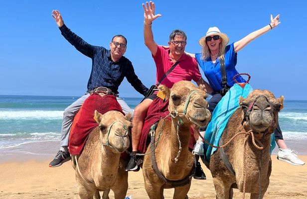 Luxury Private Full Day Tour In Tangier with Camel ride