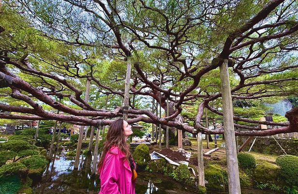 Kanazawa Curated Samurai 4-Hour Private Tour
