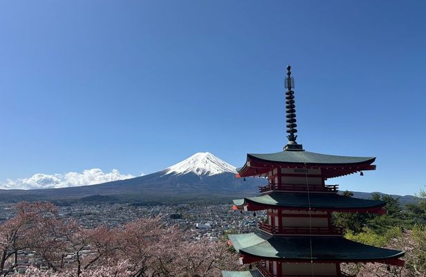 Mt. Fuji and Fuji Speedway Tour (Optional Self Drive Experience)
