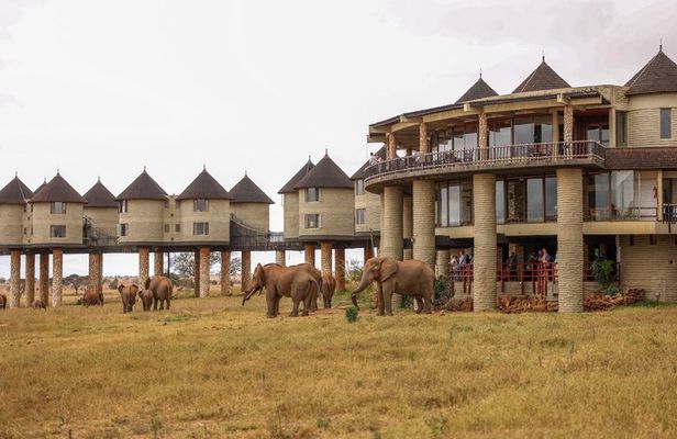 3 Day Tsavo East and Saltlick Safari Adventure